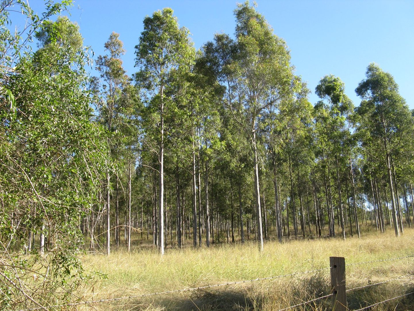 Lot 209 Stalworth Road, Proston QLD 4613, Image 1