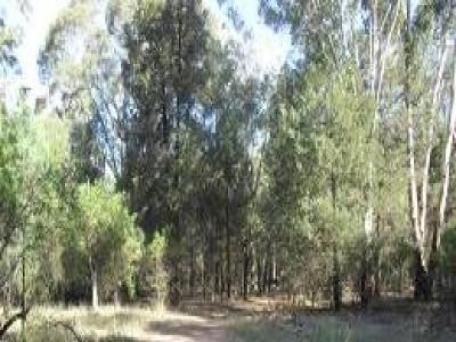 Lot 12, 6 Christie Drive, Gilgandra NSW 2827, Image 0