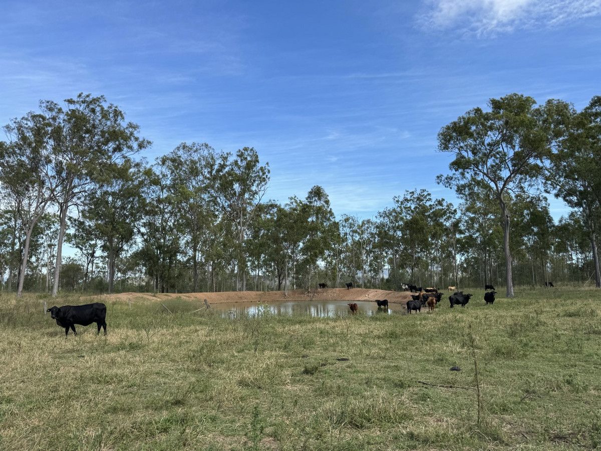 99 Valley Run Road, Boyne Valley QLD 4680, Image 0