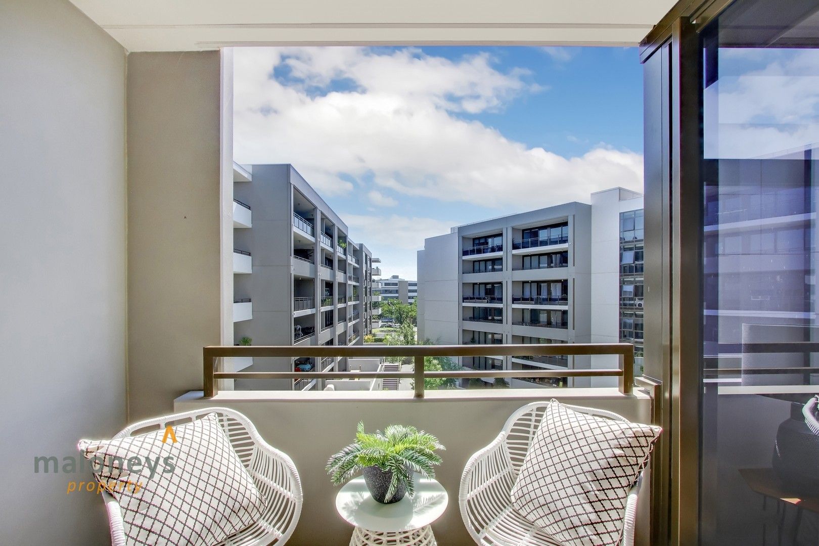 1 bedrooms Apartment / Unit / Flat in 105/32 Blackall Street BARTON ACT, 2600