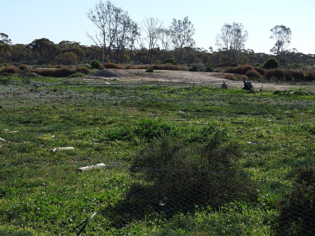 Lot 2 O'Connor Street, Balranald NSW 2715 Farmlet for Sale 230,000