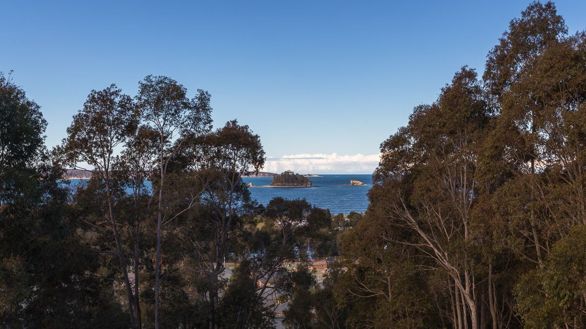 6 Sanctuary Place, Catalina NSW 2536, Image 2