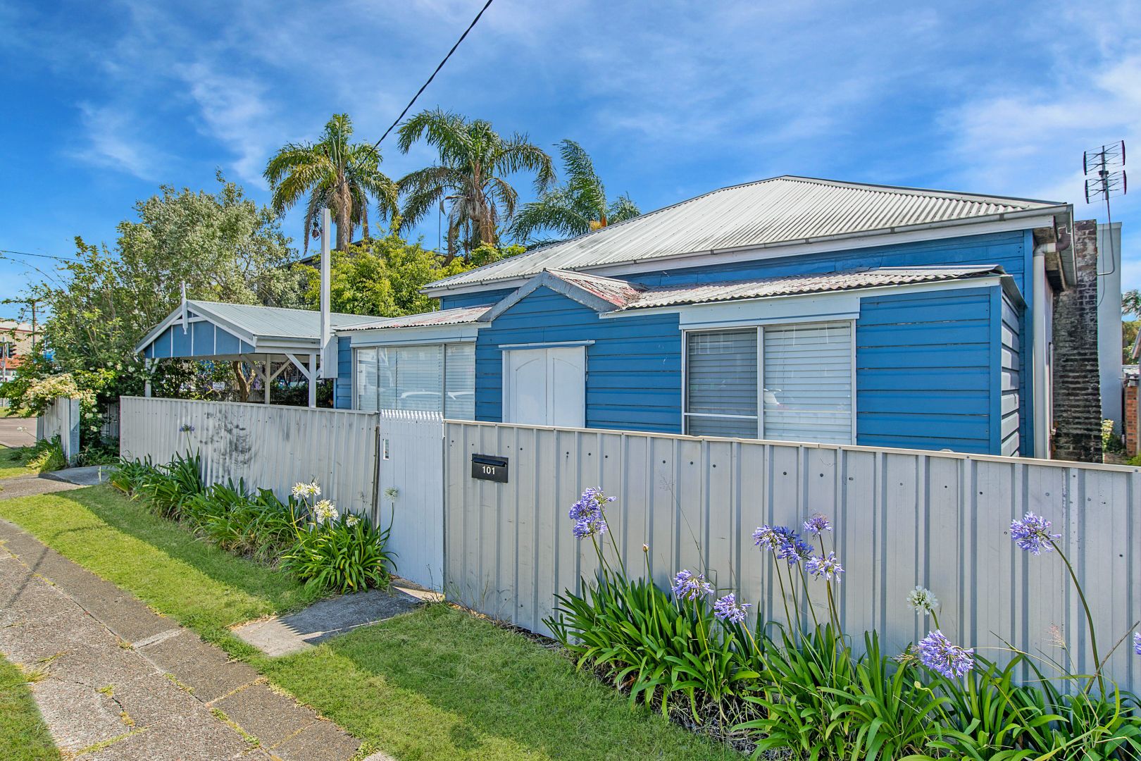 101 Broadmeadow Road, Broadmeadow NSW 2292 House For Rent Domain