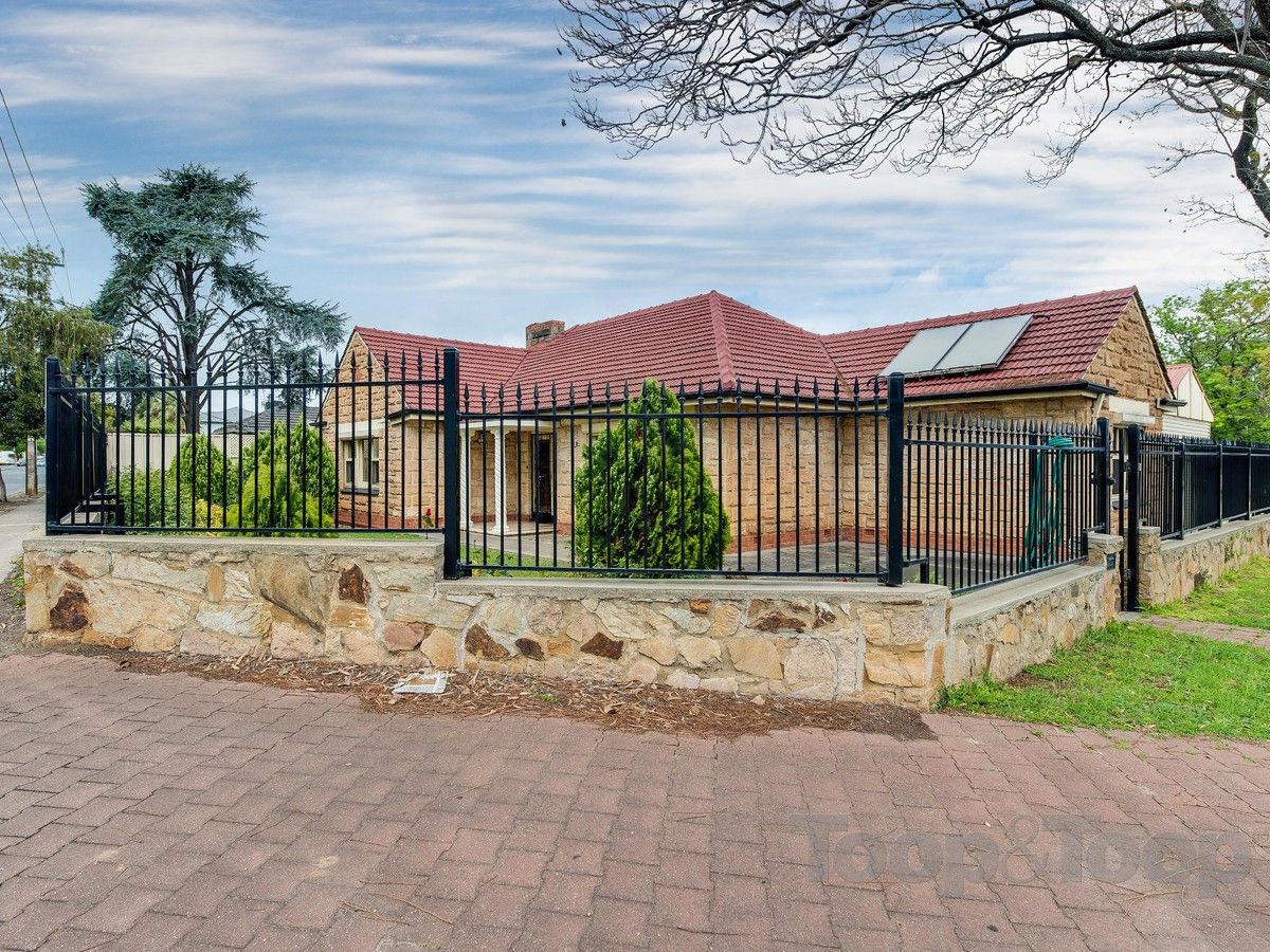 38 Darley Road, Paradise SA 5075, Image 2