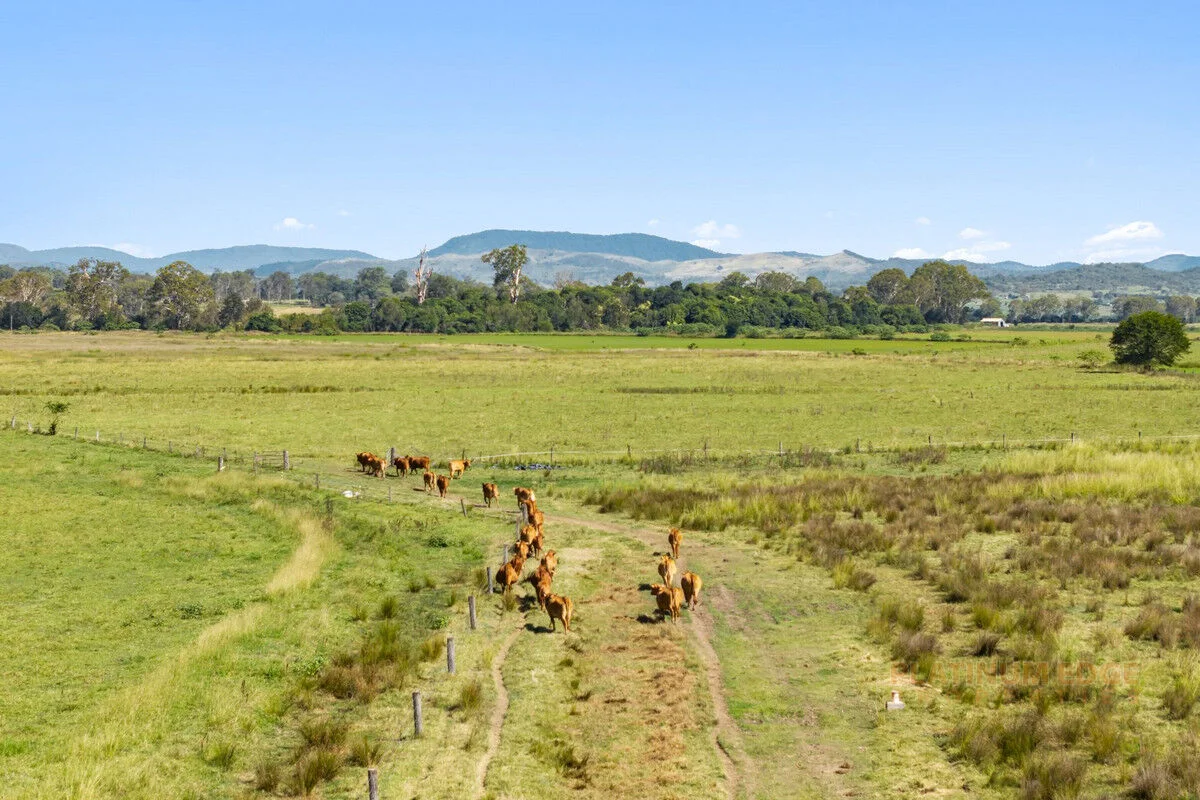 Additional image 18 of 32 Tamrookum Church Road, Tamrookum QLD 4285