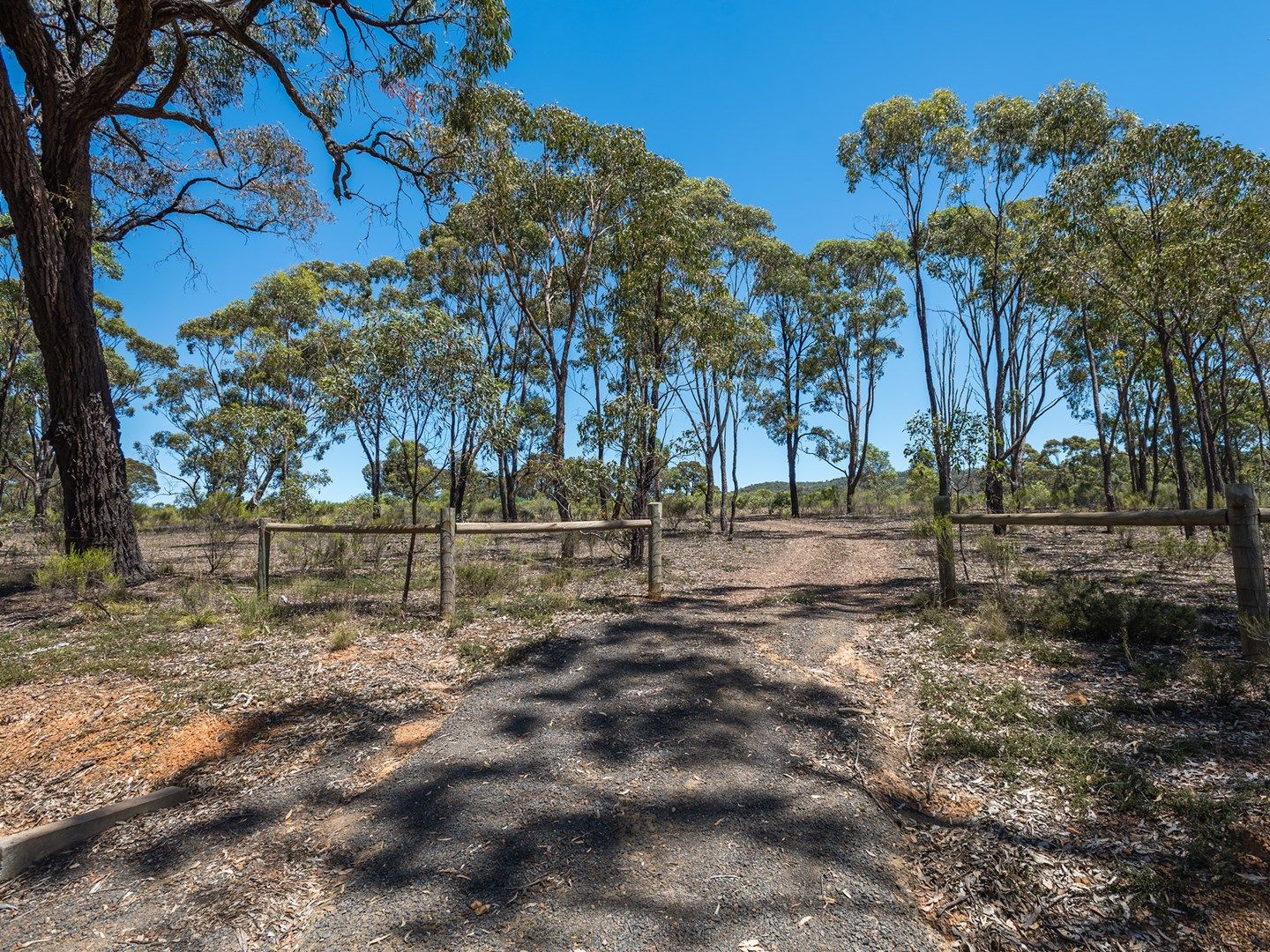 Lot 4 Youngs Lane, Tooborac VIC 3522, Image 2