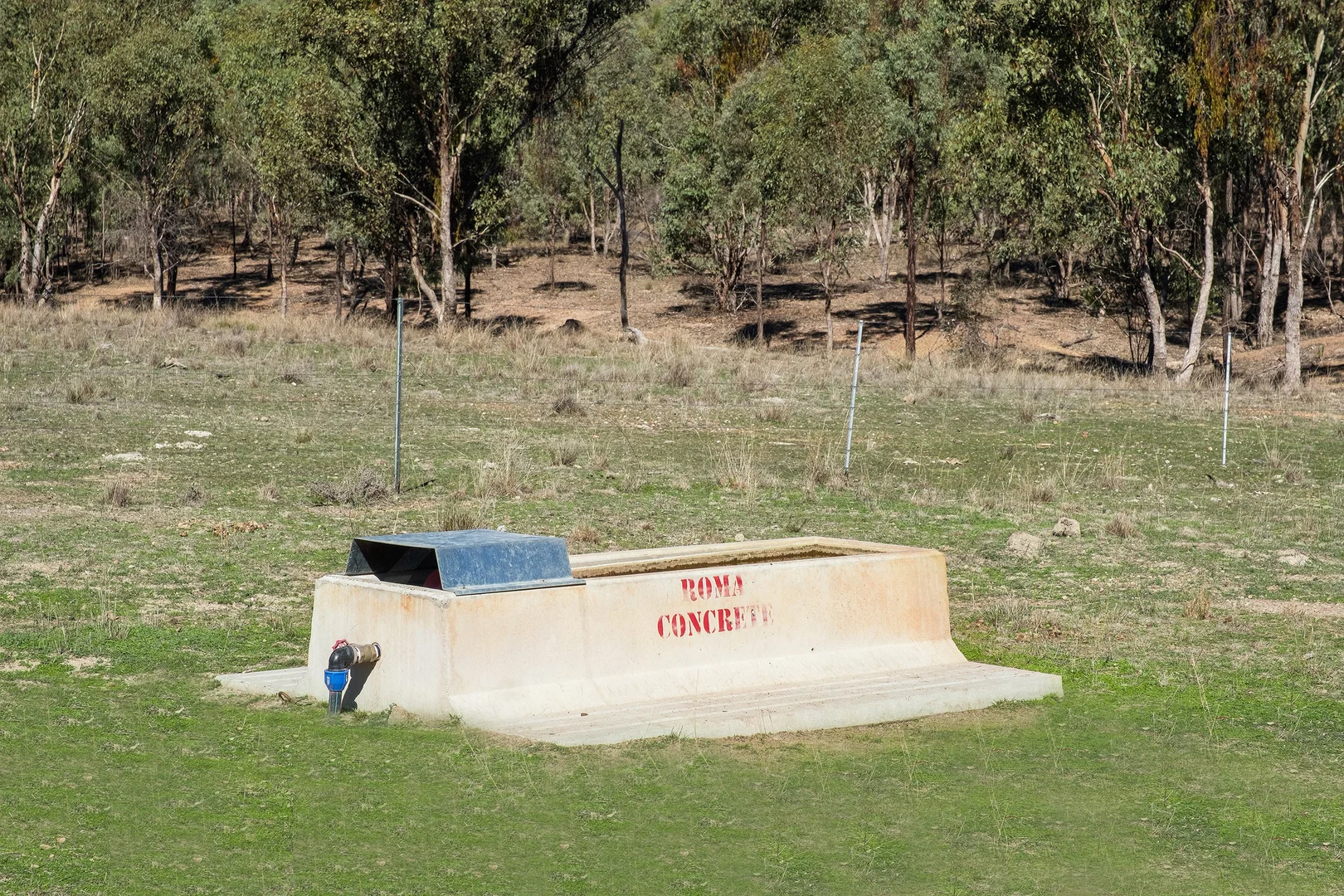 Image 9
