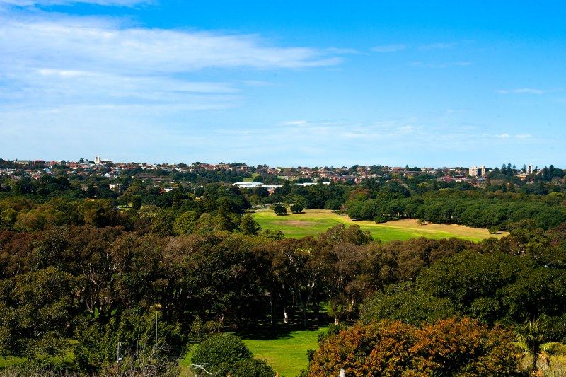 79/39-41 Cook Road, Centennial Park NSW 2021, Image 2