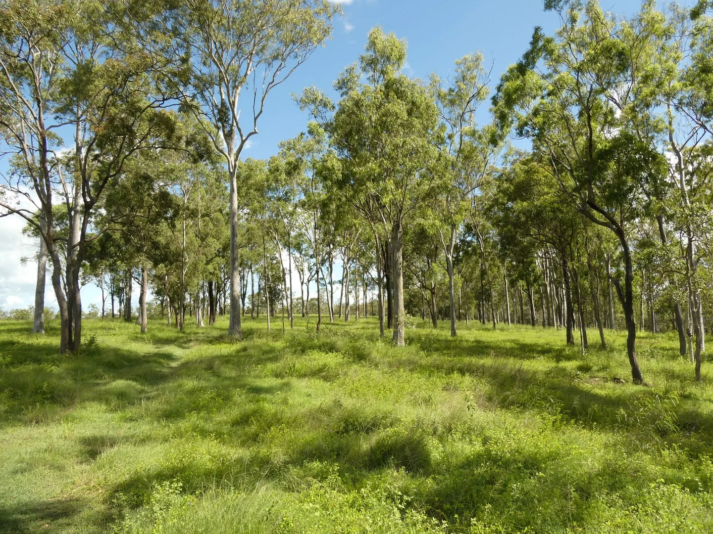 Additional image 20 of 510 Promisedland Road, Promisedland QLD 4660