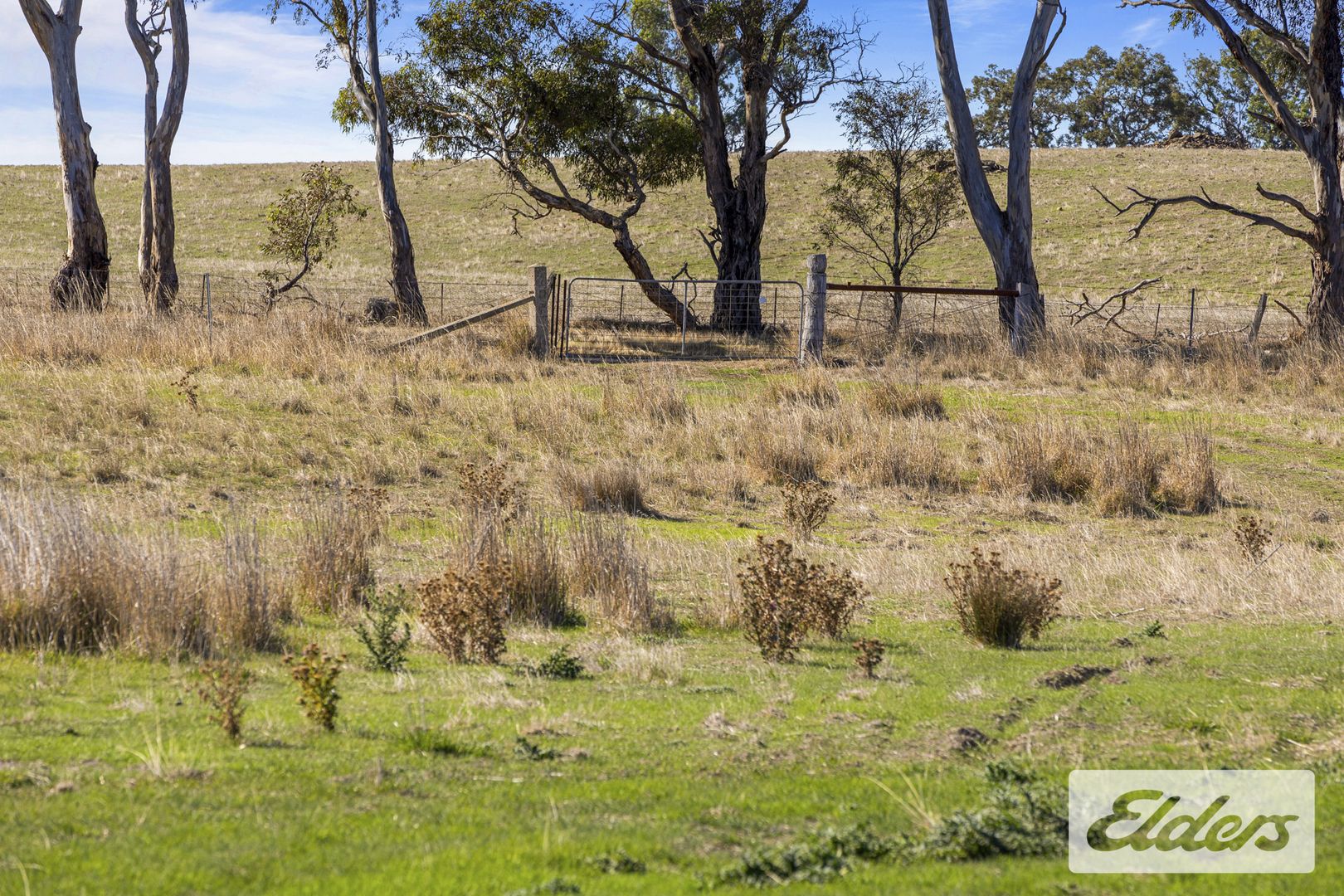 85 Greenhill Creek Road, Lexton VIC 3352, Image 1