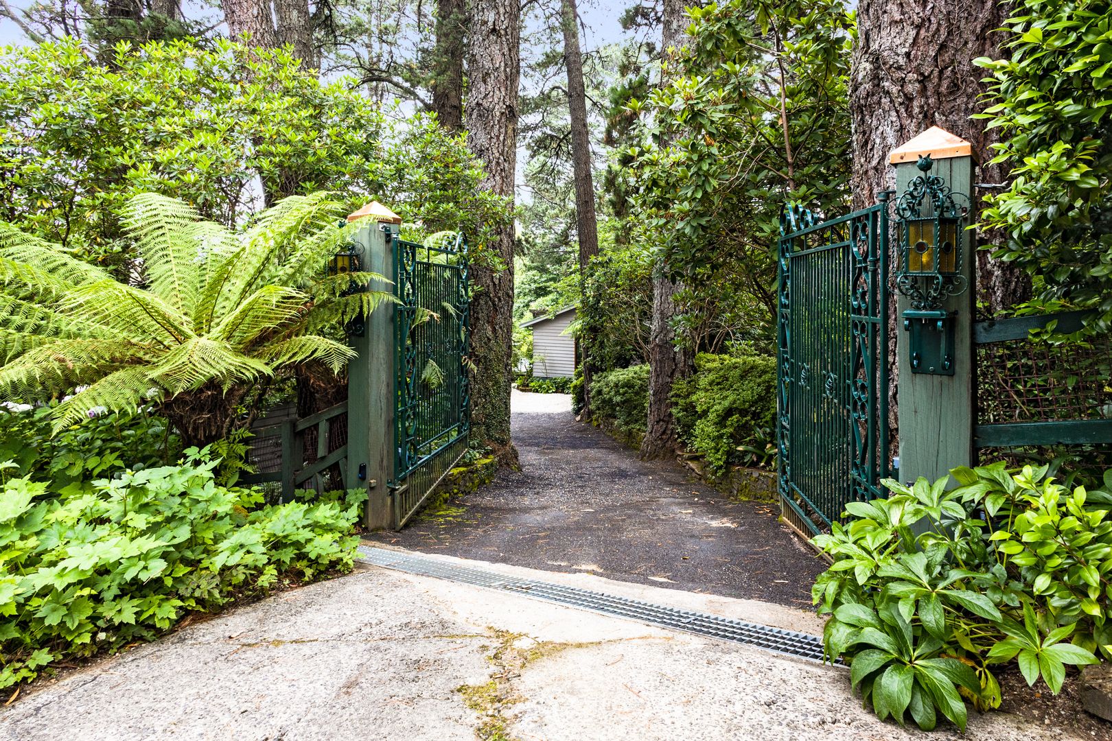 9597 Mount Irvine Road, Mount Wilson NSW 2786 Domain