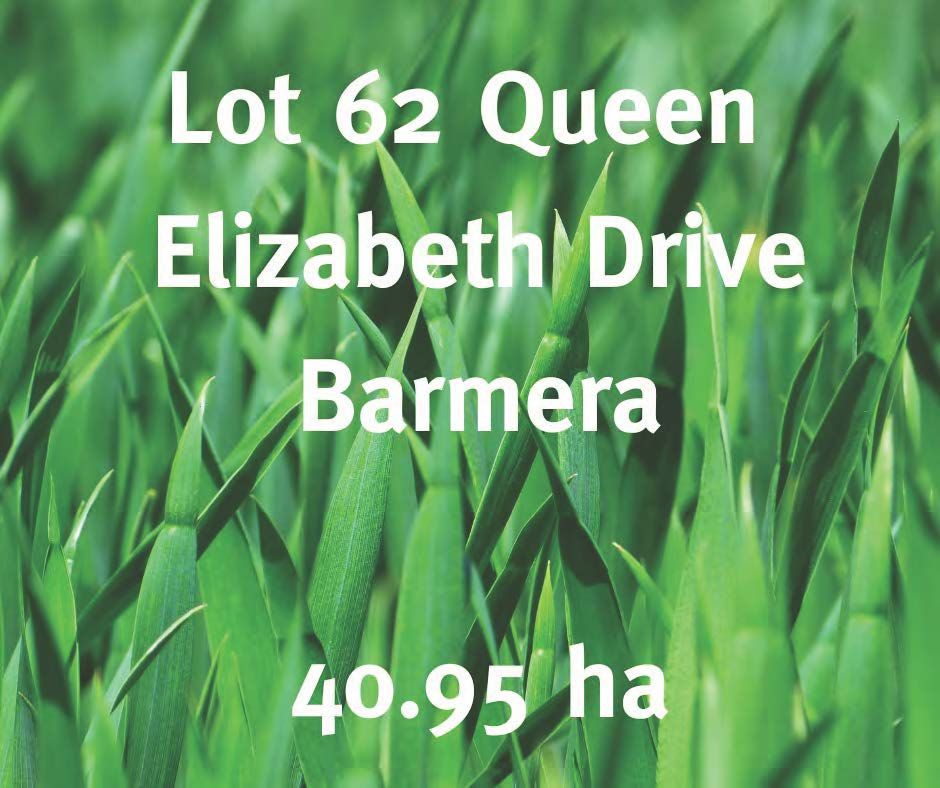 62 Queen Elizabeth Drive, Barmera SA 5345, Image 1