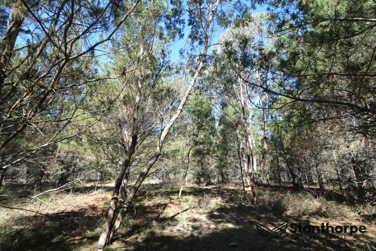 Image 15