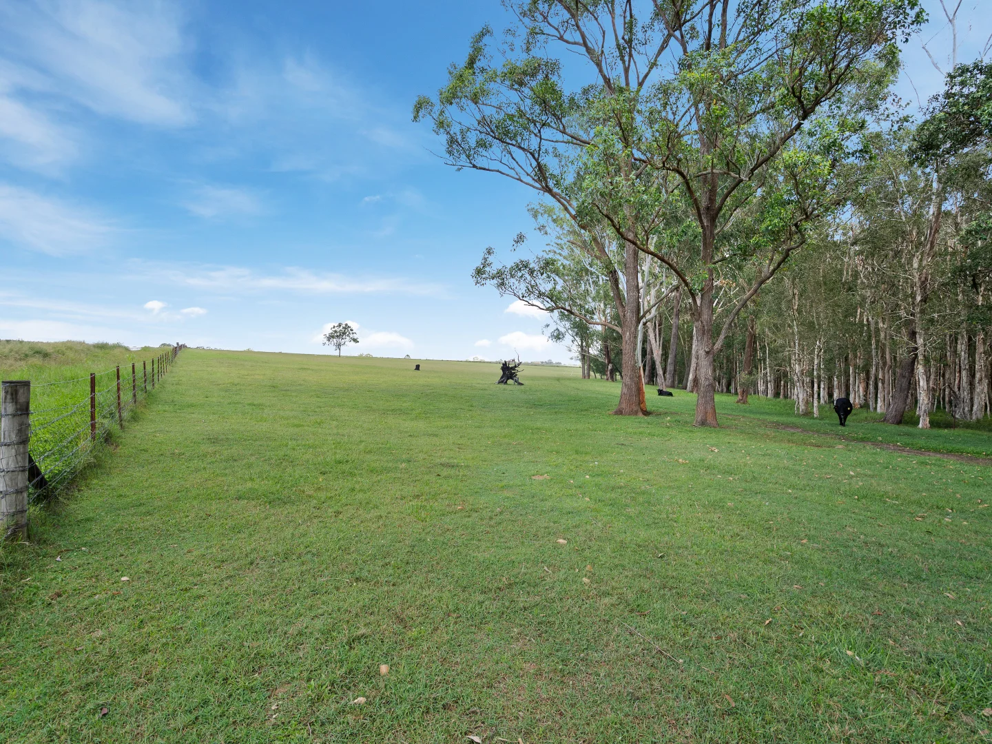 Additional image 24 of 227-237 Scurr Road, Wamuran QLD 4512