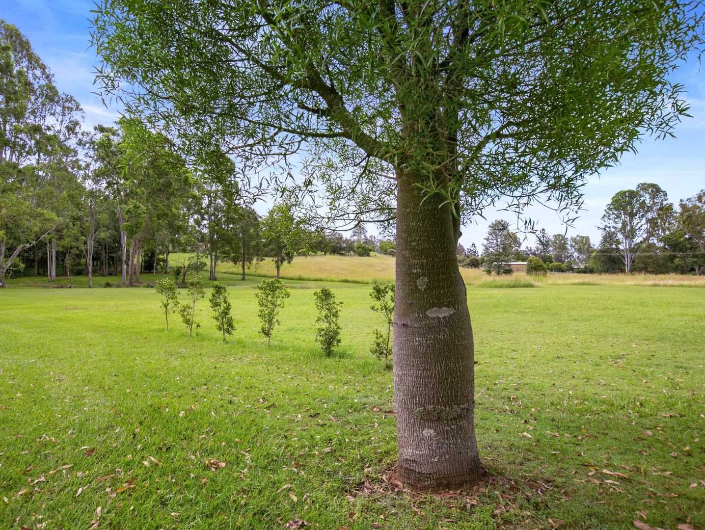 356 Eel Creek Road, Pie Creek QLD 4570, Image 2