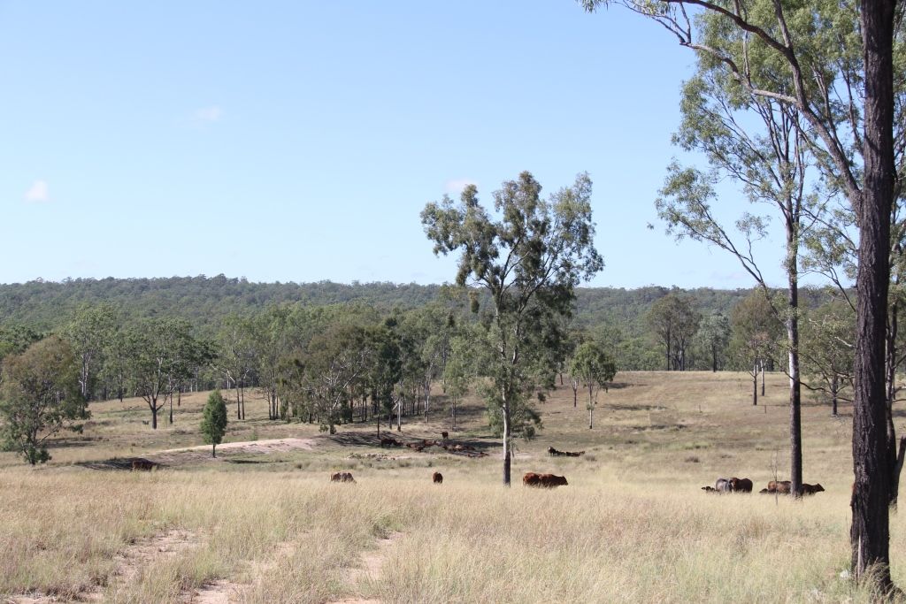 Ballogie QLD 4610, Image 2