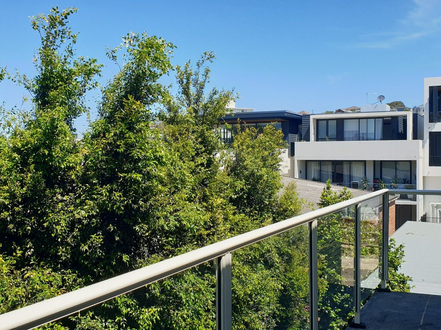 21/16 Soldiers Avenue, Freshwater NSW 2096 Apartment For Rent Domain