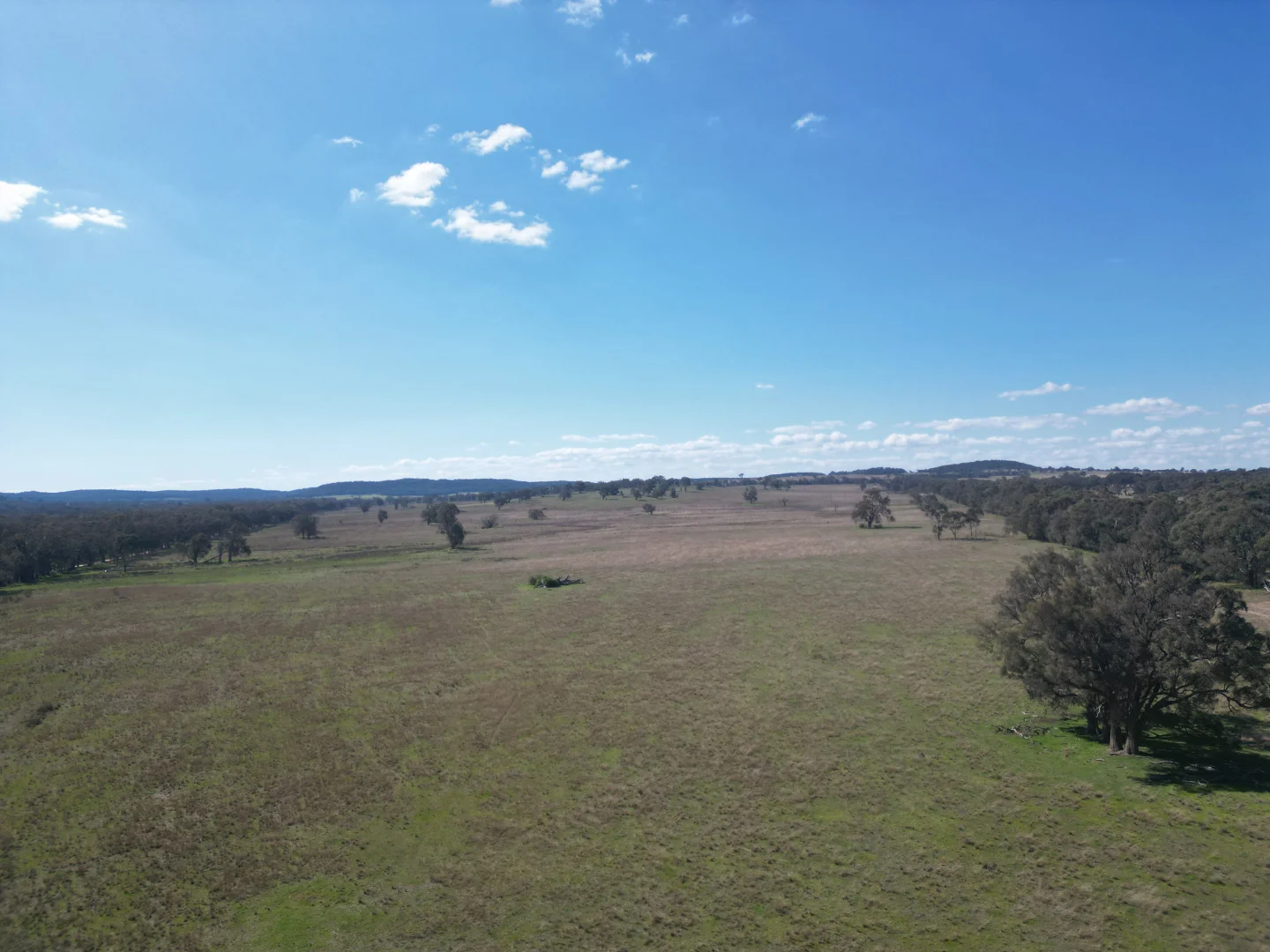 Image 13