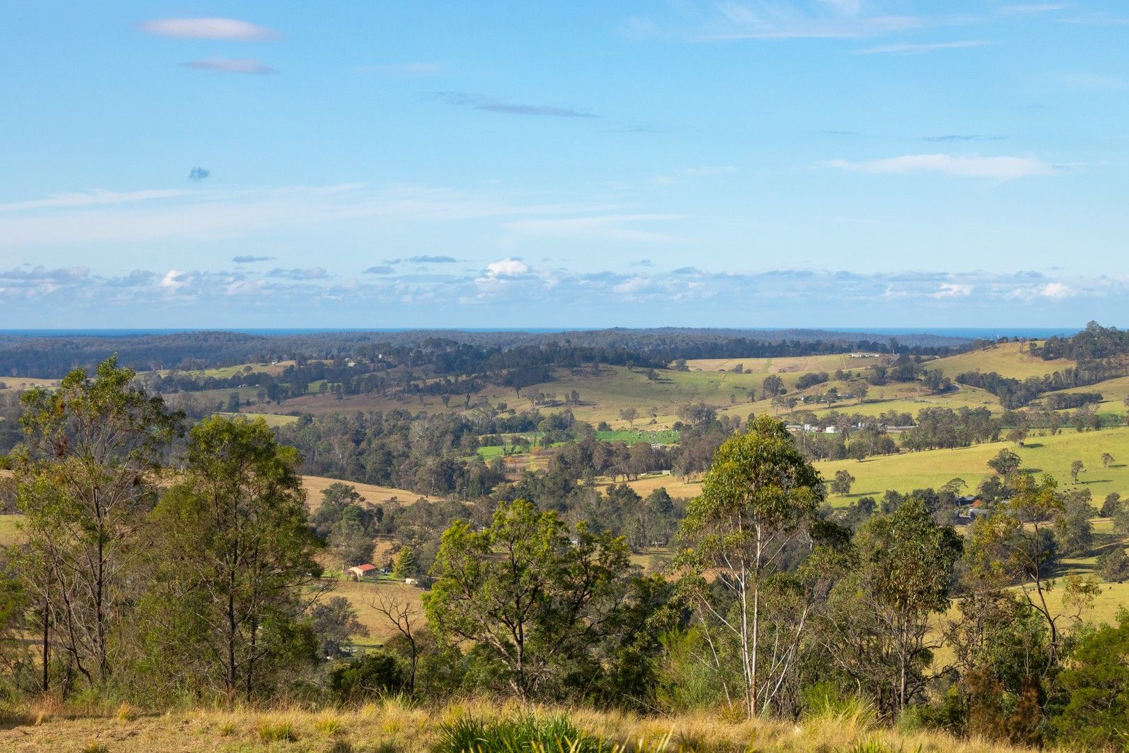 Lot 22 Barrabaroo Road, Cobargo NSW 2550, Image 0