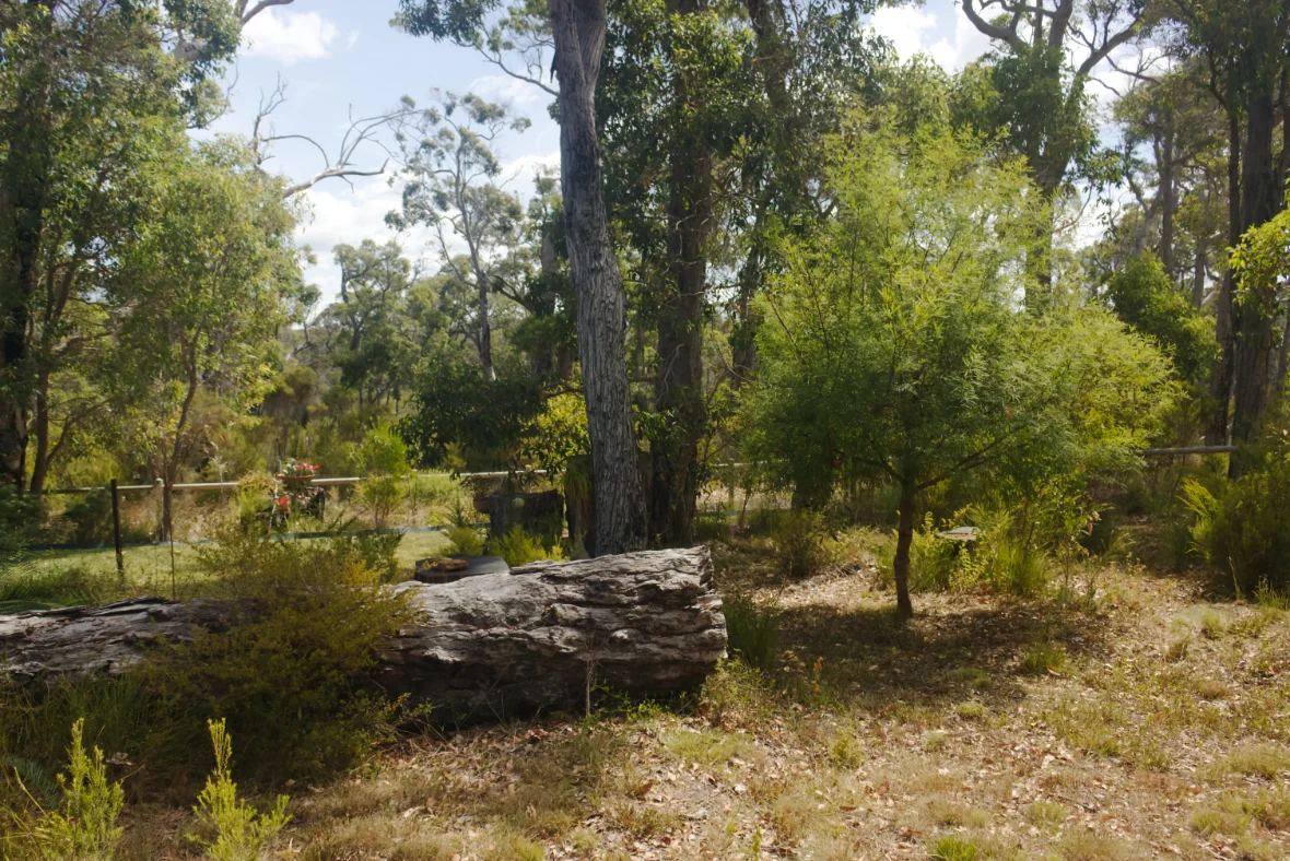 Additional image 7 of 80 Karri Street, Walpole WA 6398