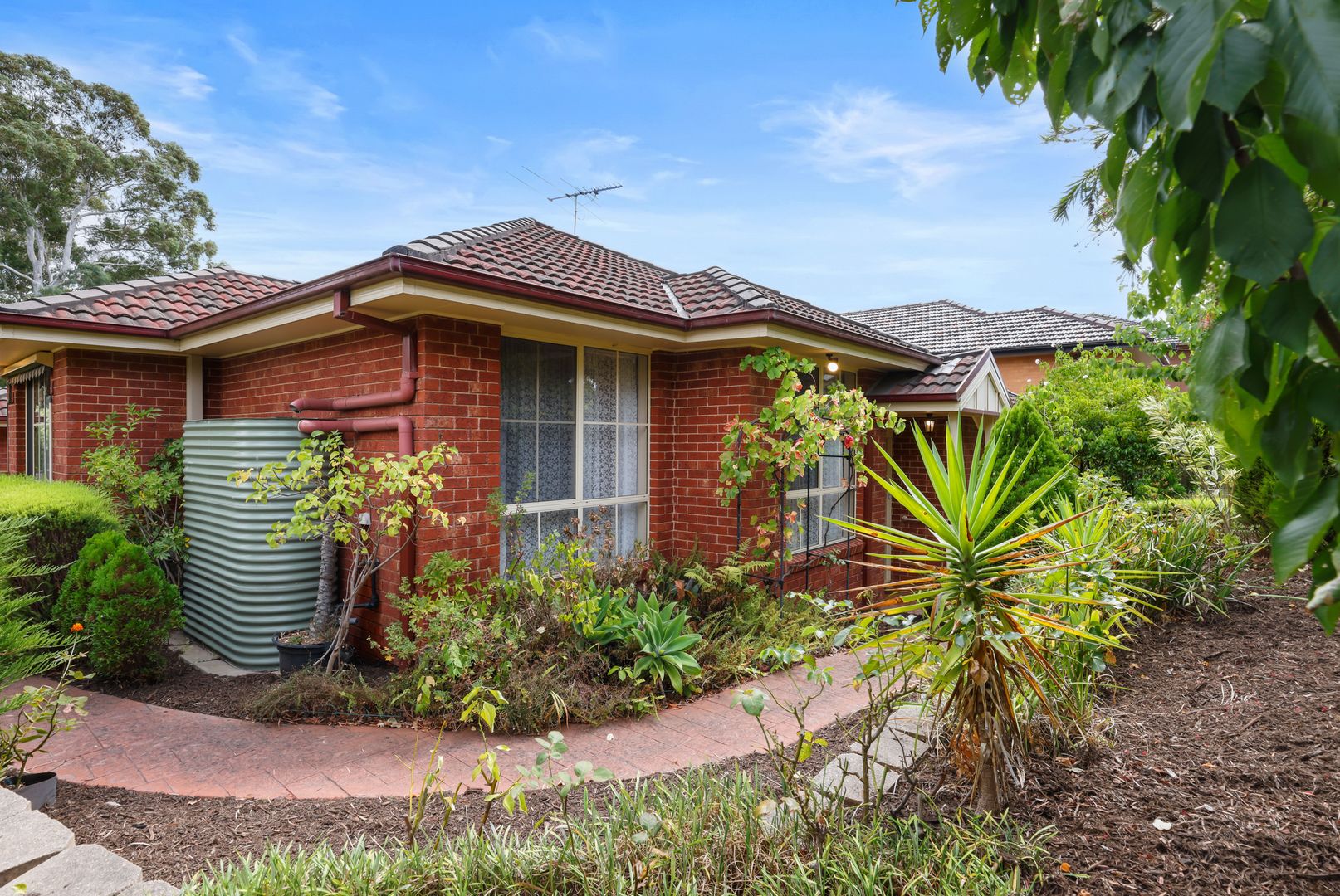 24 Charlotte Street, Blackburn South VIC 3130, Image 1