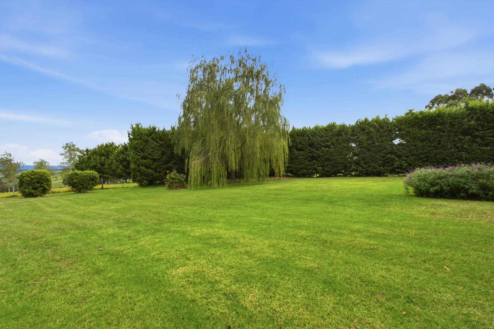 Image 29