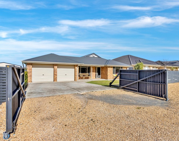 74 Borrow Street, Freeling SA 5372