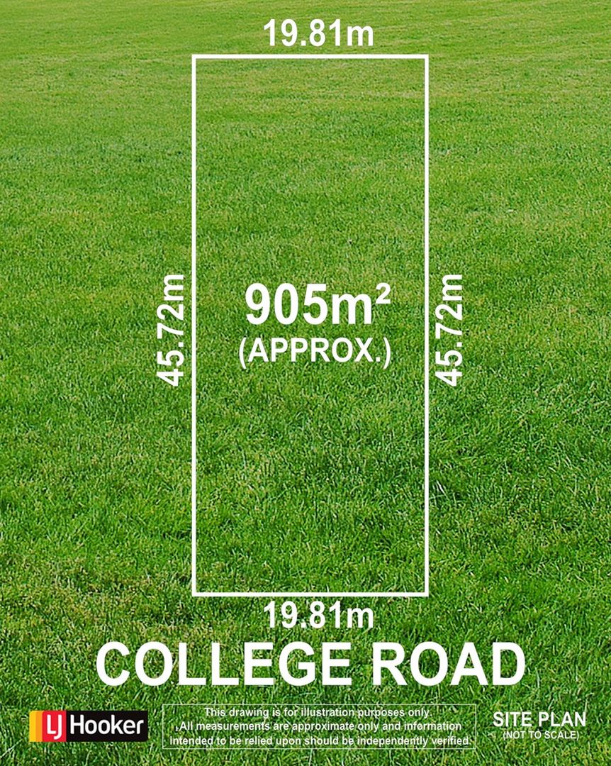 19 College Road, Somerton Park SA 5044, Image 1