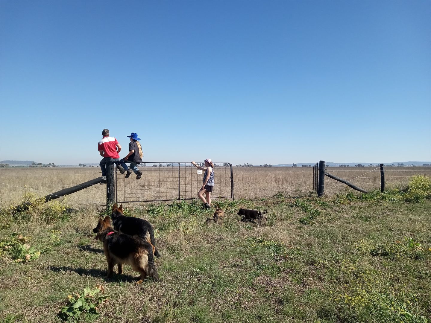 Vacant land in 218 Kuhn Road, KINGS CREEK QLD, 4361