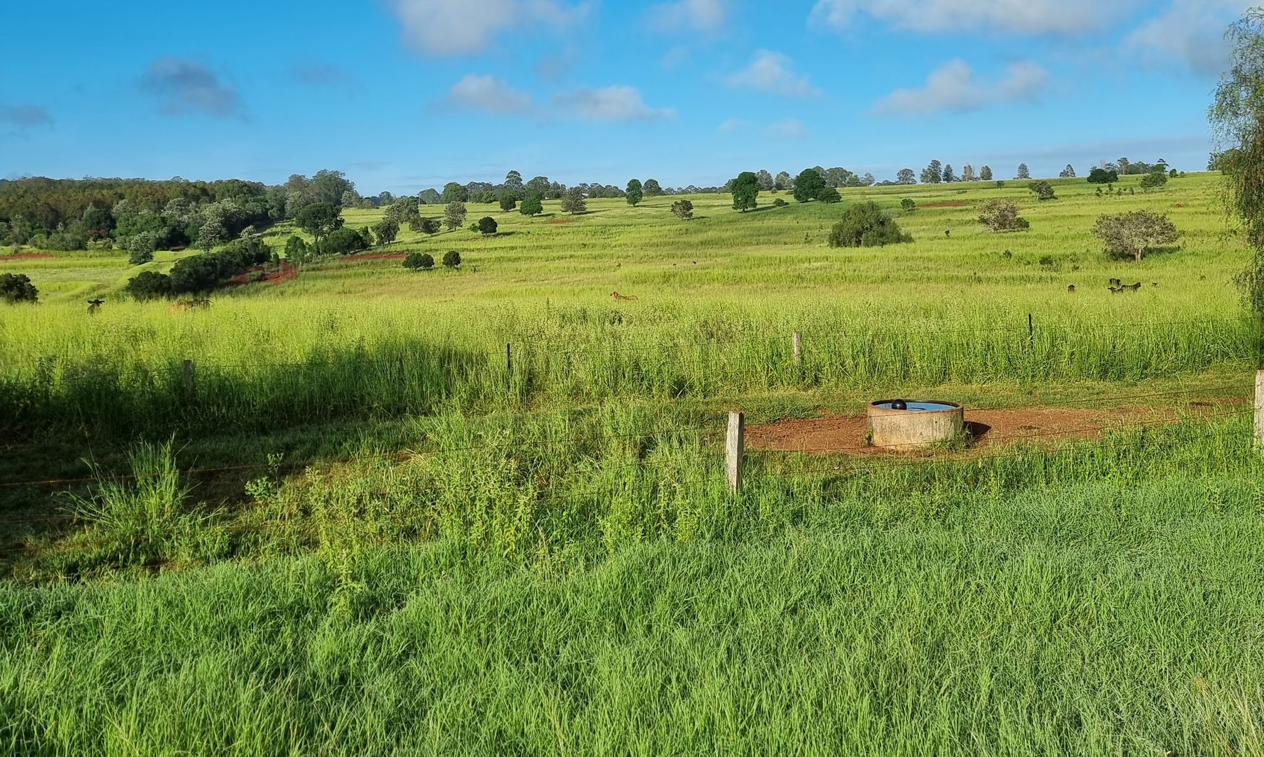 Lot 125 Mount McEuen Road, Mount McEuen, Wondai QLD 4606, Image 1