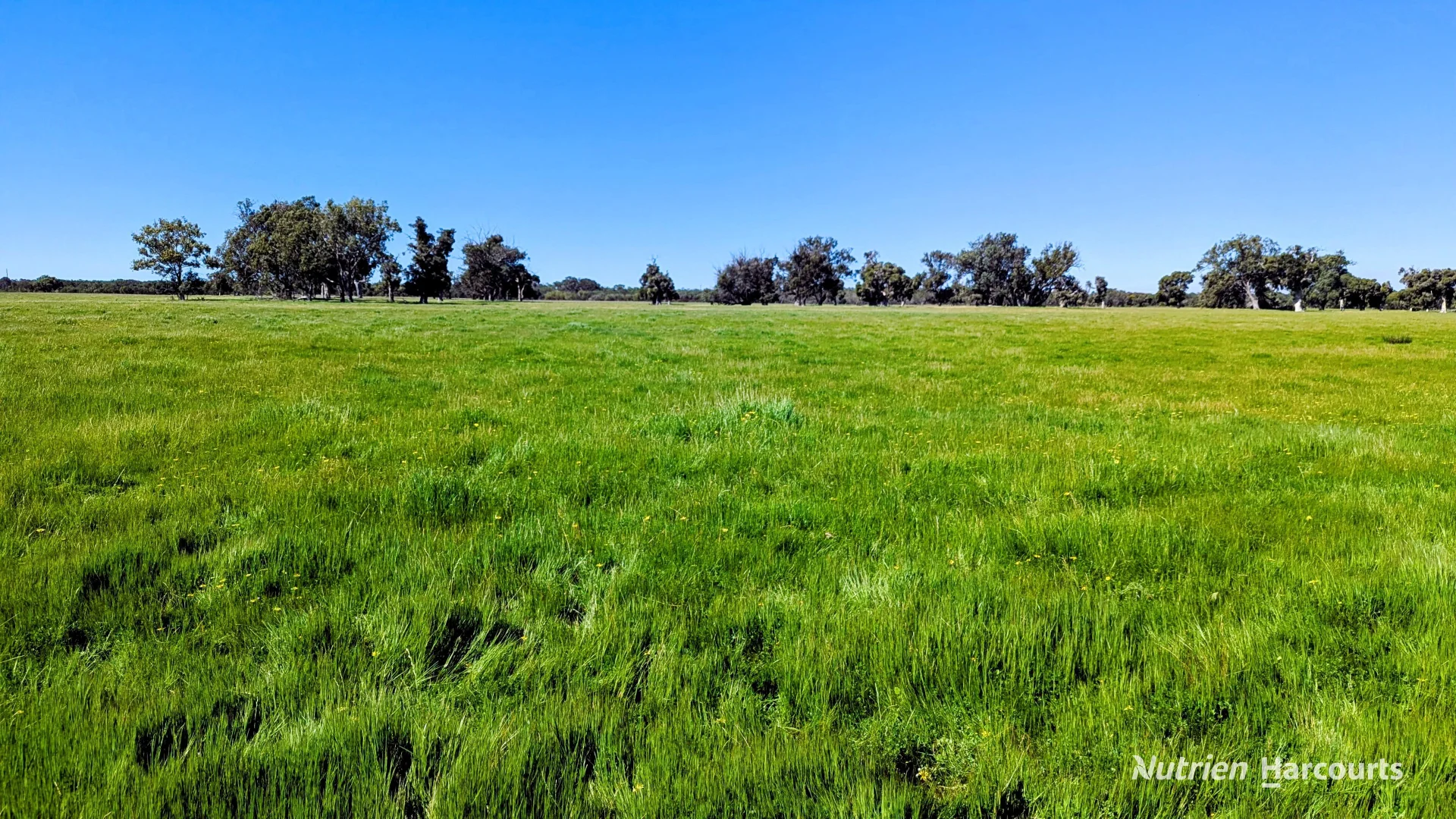 Additional image 14 of Lot 52 & 53 Cowalla Road, Cowalla, Gingin WA 6503