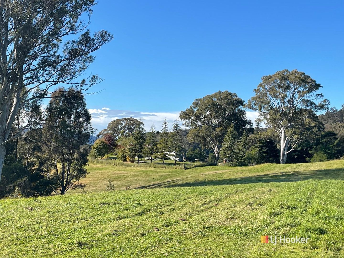 323 Hawks Head Road, Brogo NSW 2550, Image 1