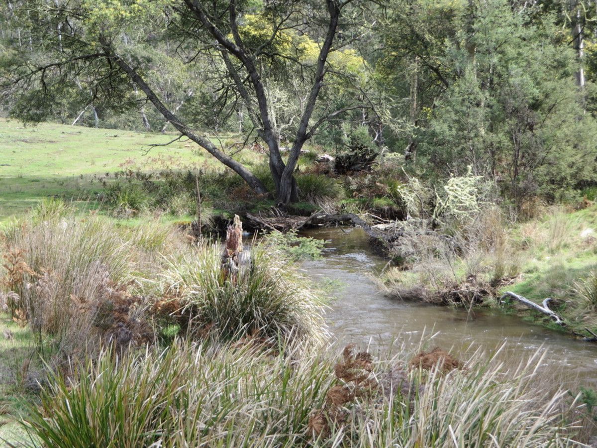 Lanes Tier Road, Ouse TAS 7140, Image 0