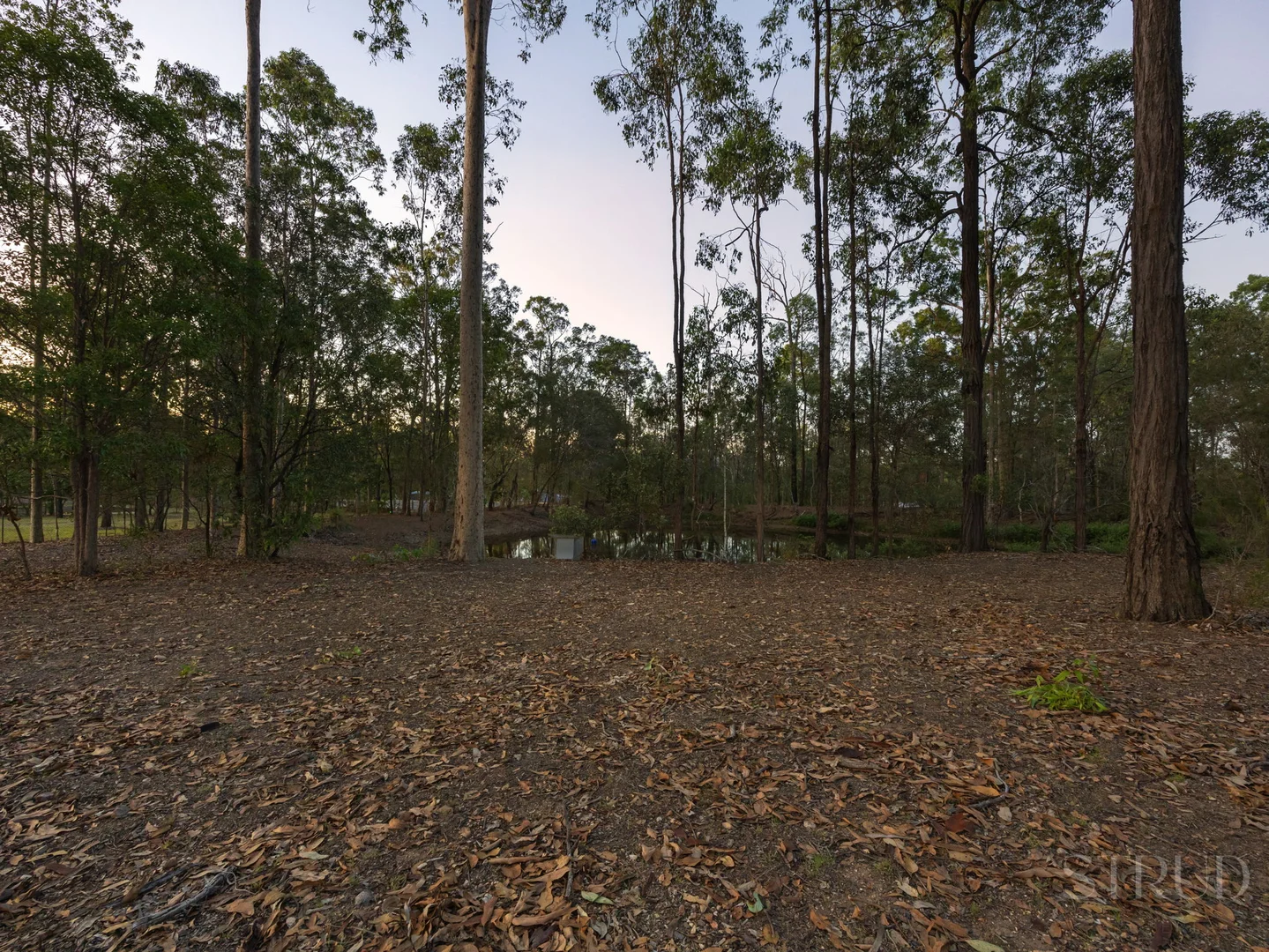 Image 18