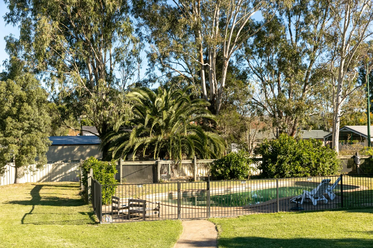 Image 29