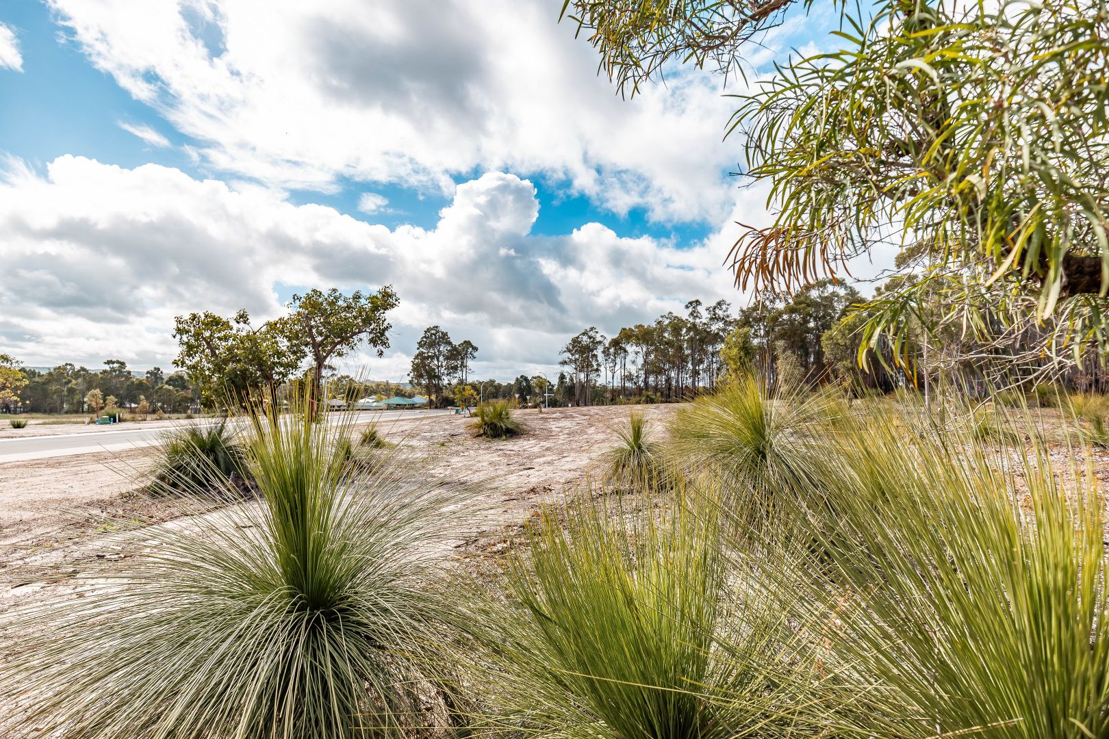 Lot/47 Hardenbergia View, Donnybrook WA 6239, Image 2