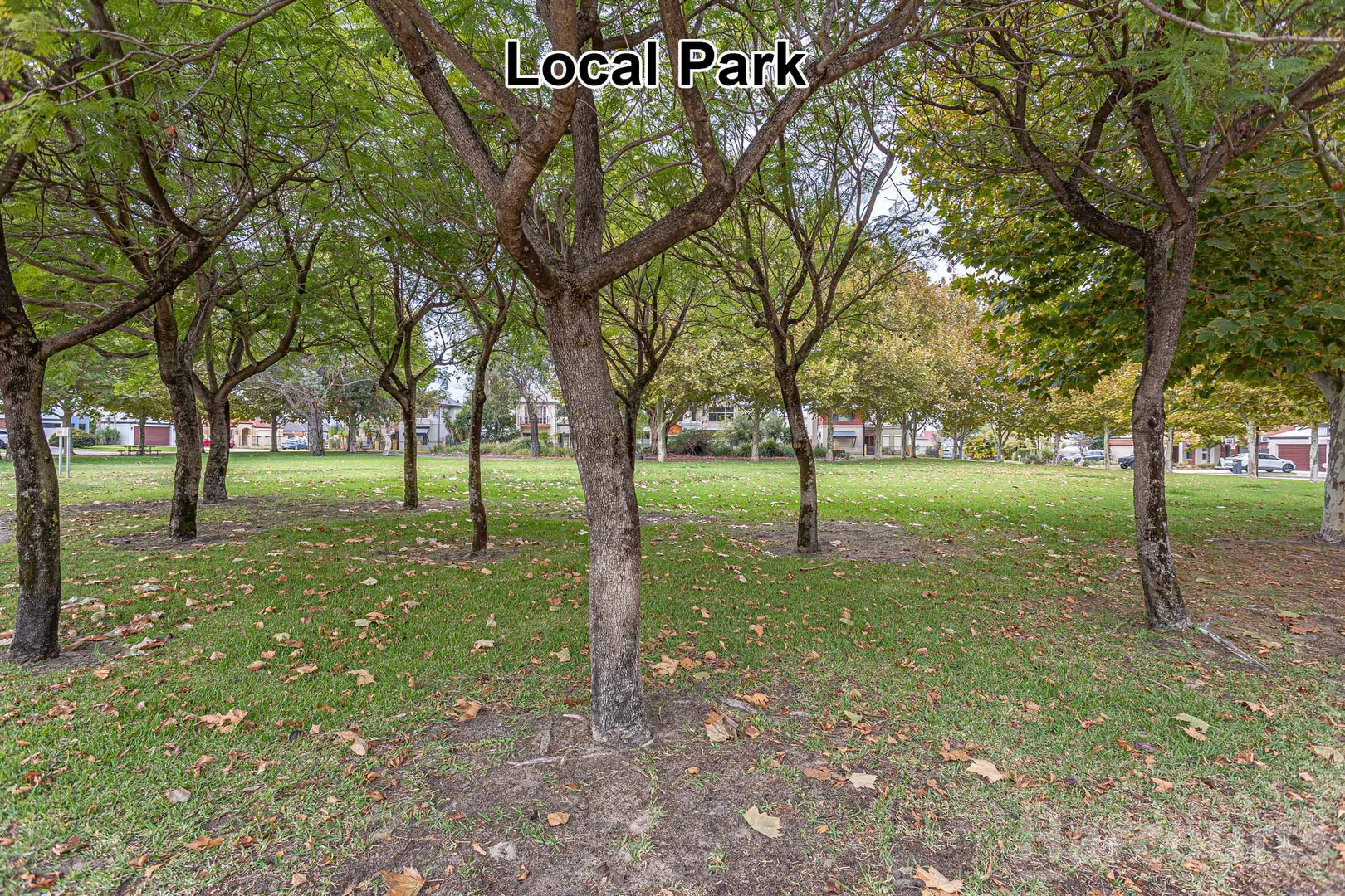 Additional image 4 of 21 Octagon Gardens, Aveley WA 6069