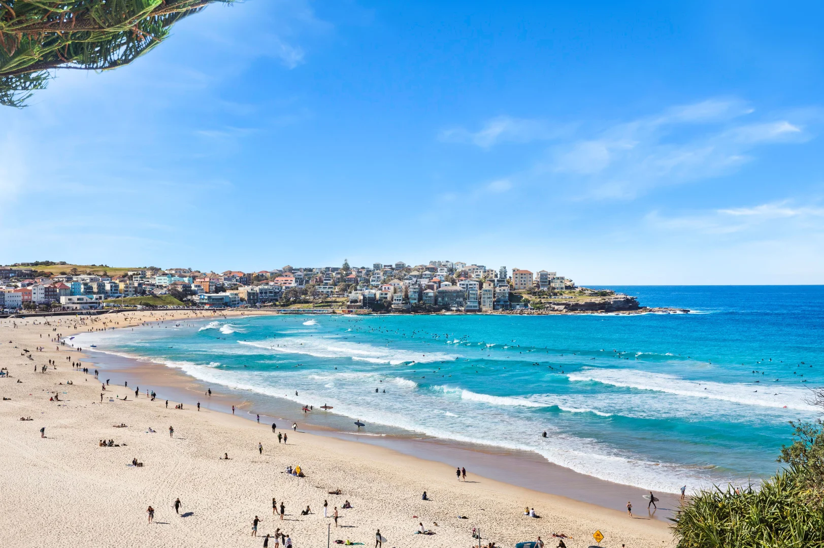 Additional image 10 of 1/307 Bondi Road, Bondi NSW 2026