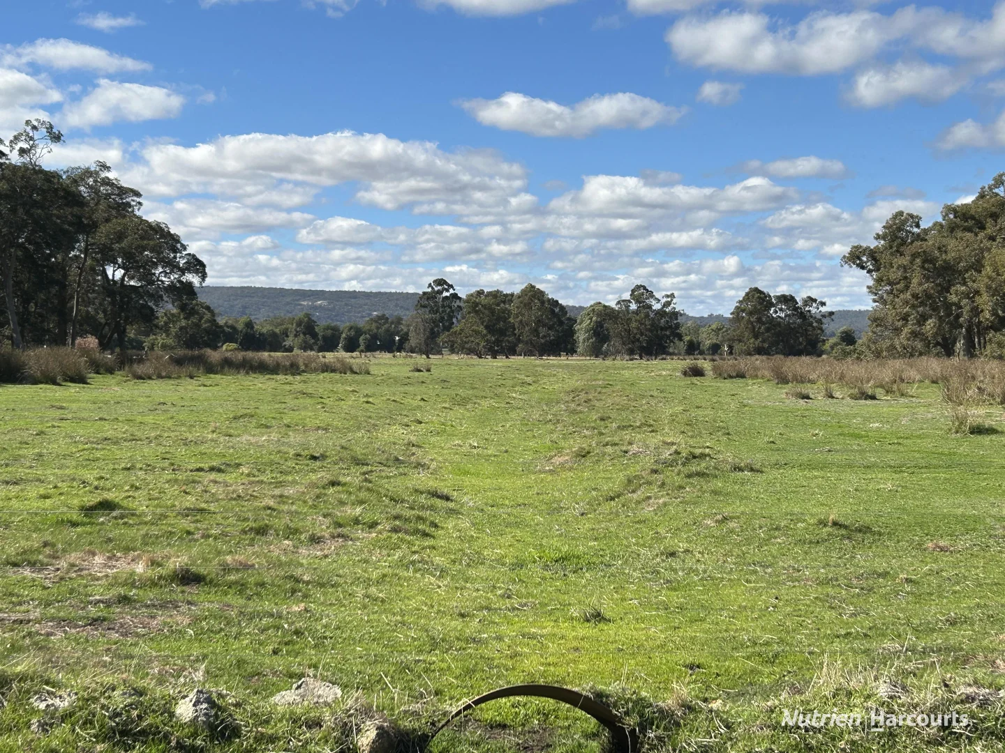 Image 15