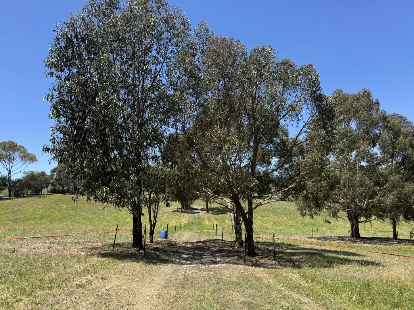 Image 33