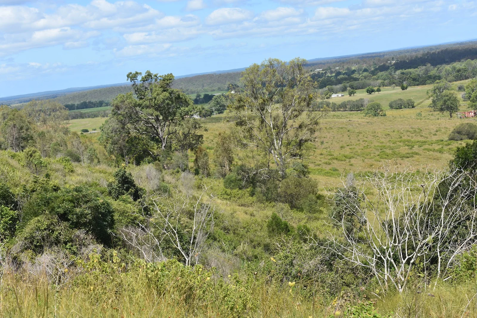 Additional image 12 of 35 Bakers Road, Bauple QLD 4650