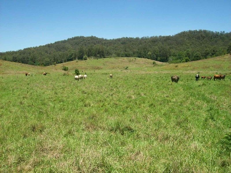 Yarranbella NSW 2447, Image 2