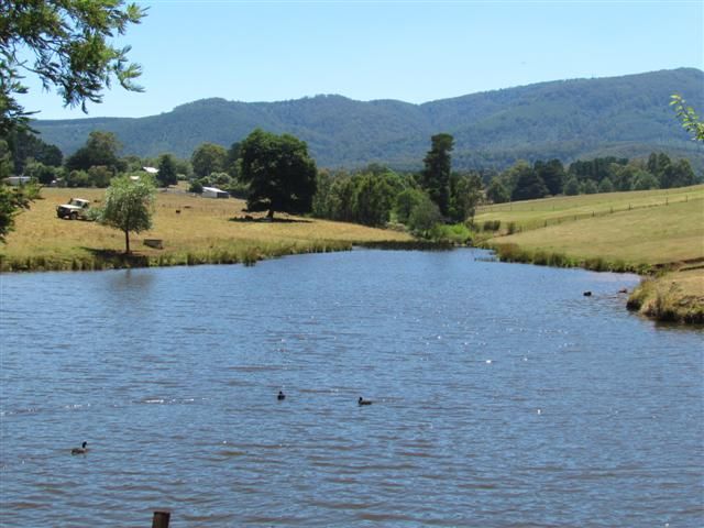 Lot 1, 1600 Mt Baw Baw Tourist Rd (Near Noojee), ICY CREEK VIC 3833, Image 0