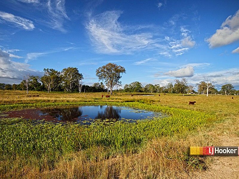 South MacLean QLD 4280, Image 2