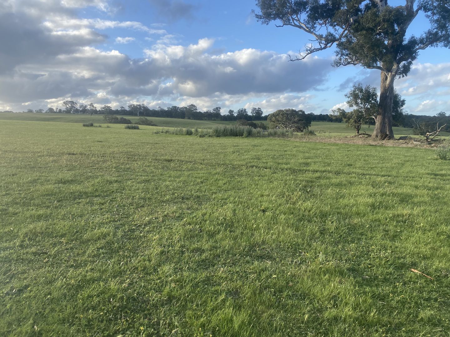 503 Camerons Road, Pigeon Ponds VIC 3407 Vacant Land for Sale