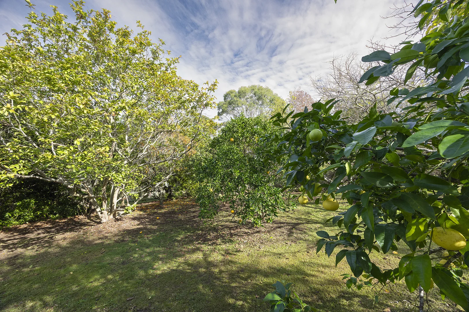 Image 22