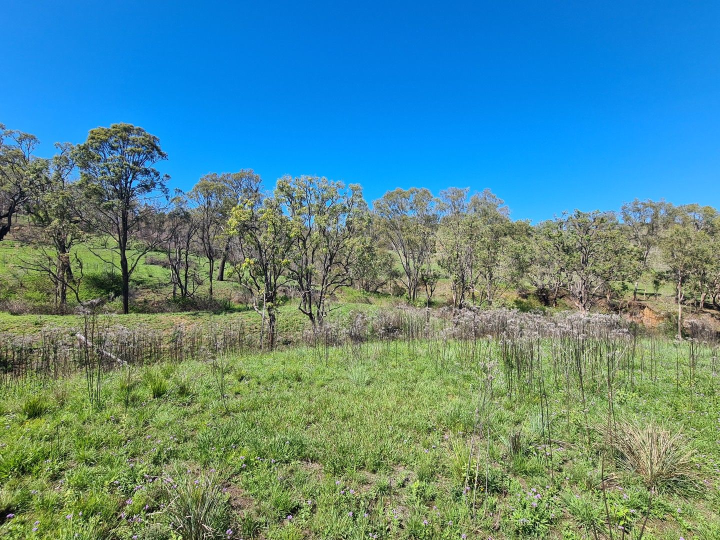 Lot 142 Pierce Creek Road, Emu Creek QLD 4355 House for Sale