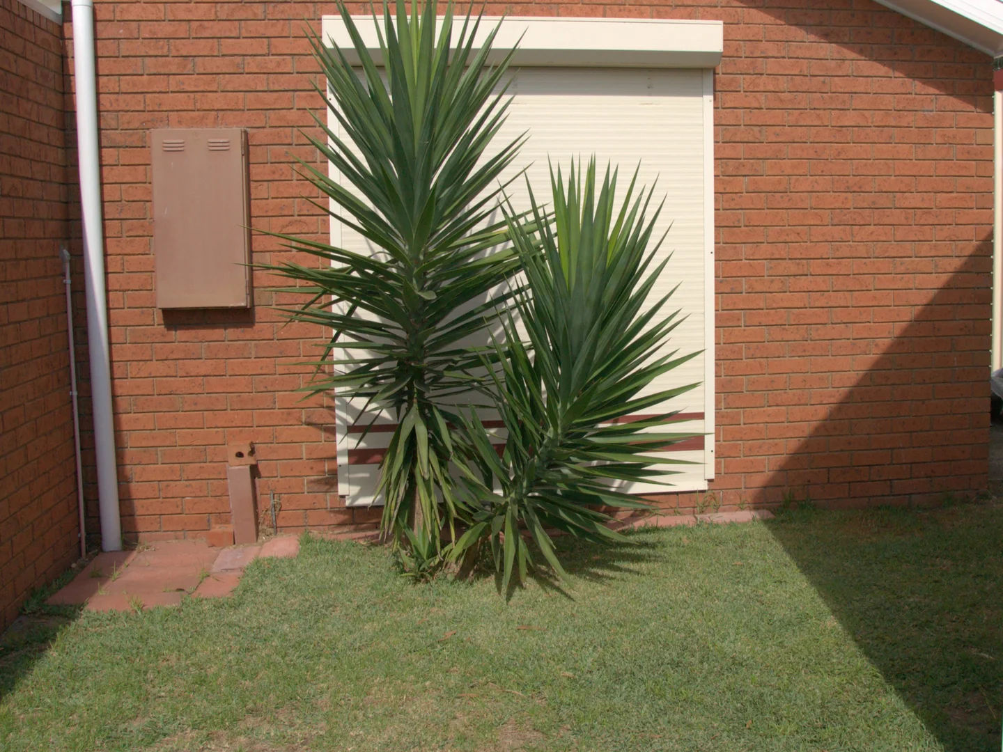 Additional image 29 of 4 Myuna Court, Portland VIC 3305