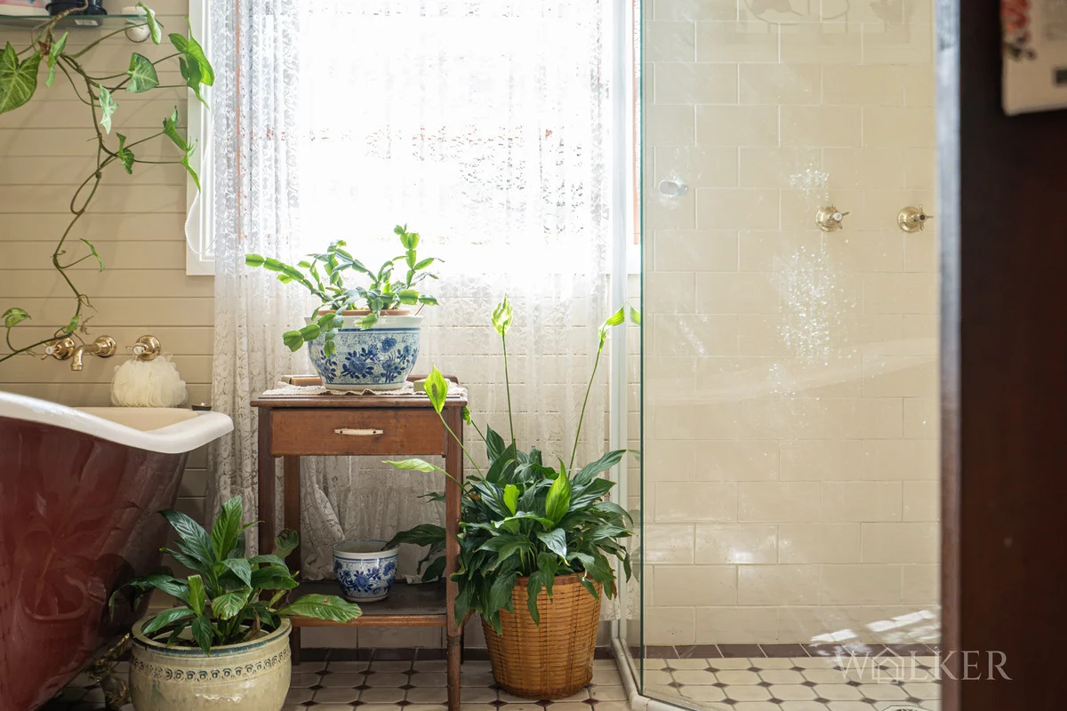 Additional image 17 of 4 Carrington Street, West Wallsend NSW 2286