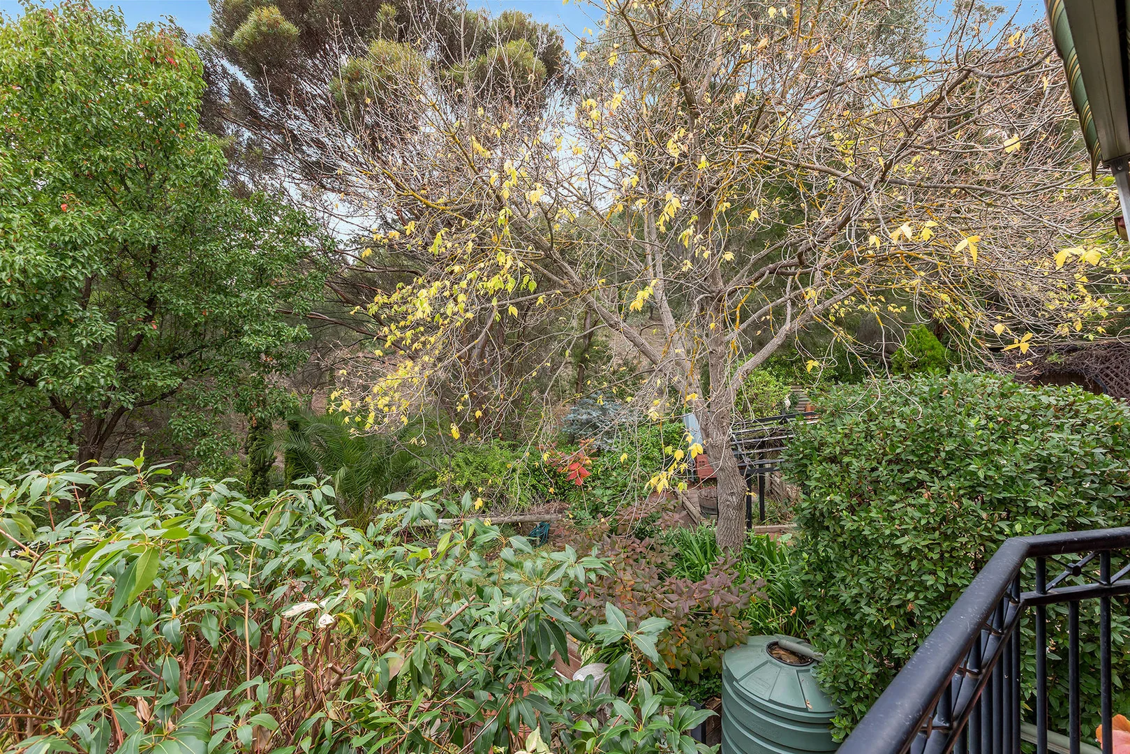 Image 15